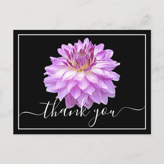 Paarse Dahlia met zwarte achtergrond bedankt Briefkaart (Voorkant)