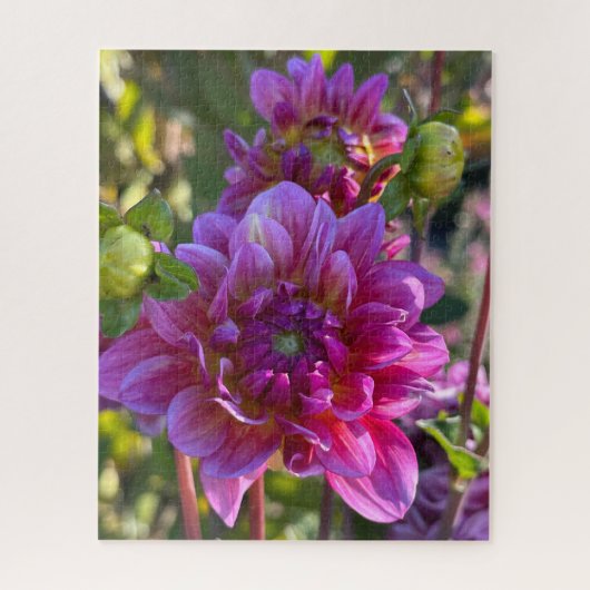 Paarse Dahlia, Oakland Legpuzzel (Verticaal)