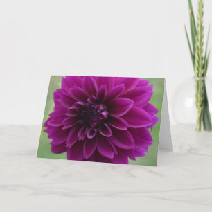 Paarse dahlia op een briefkaart, close-up kaart