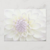 Paarse Dahlia · Save the Date Briefkaart (Achterkant)