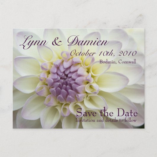 Paarse Dahlia · Save the Date Briefkaart (Voorkant)