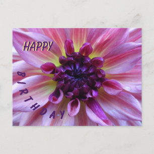 Paarse Dahlia Verjaardagskaart Briefkaart