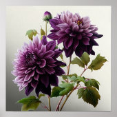 Paarse Dahlias Flower Art Print Poster (Voorkant)