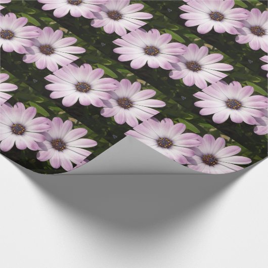 Paarse Daisies Cadeaupapier (Hoek)