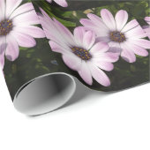 Paarse Daisies Cadeaupapier (Rol Hoek)