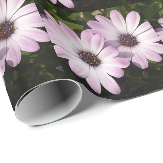 Paarse Daisies Cadeaupapier (Rol Hoek)