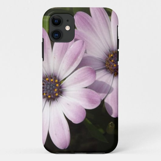 Paarse Daisies Case-Mate iPhone Case (Achterkant)