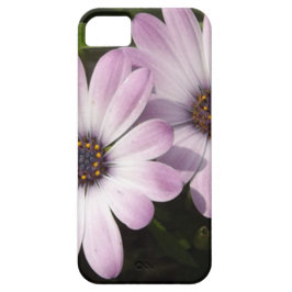 Paarse Daisies iPhone 11 Hoesje