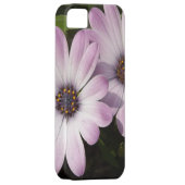 Paarse Daisies Case-Mate iPhone Case (Back/Rechts)