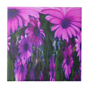 Paarse Daisies Floral Abstracte Kunst Tegeltje