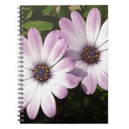 Paarse Daisies Notitieboek