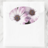 Paarse Daisies Ovale Sticker (Tas)