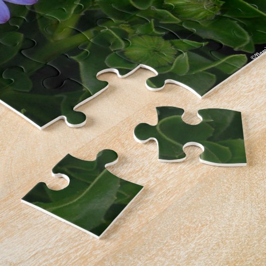 Paarse Daisies Puzzle Legpuzzel (Zijkant)