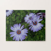 Paarse Daisies Puzzle Legpuzzel (Horizontaal)