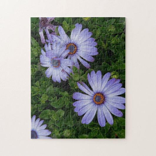 Paarse Daisies Puzzle Legpuzzel (Verticaal)