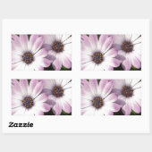 Paarse Daisies Rechthoekige Sticker (Vel)