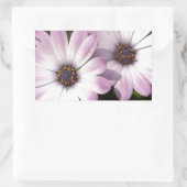 Paarse Daisies Rechthoekige Sticker (Tas)