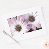 Paarse Daisies Rechthoekige Sticker (Envelop)