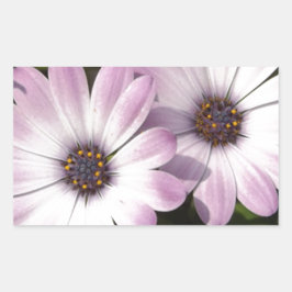Paarse Daisies Rechthoekige Sticker