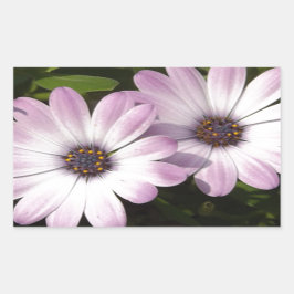 Paarse Daisies Rechthoekige Sticker