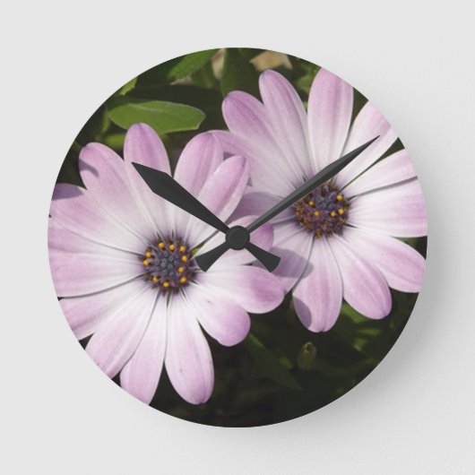 Paarse Daisies Ronde Klok (Voorkant)