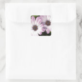 Paarse Daisies Vierkante Sticker (Tas)