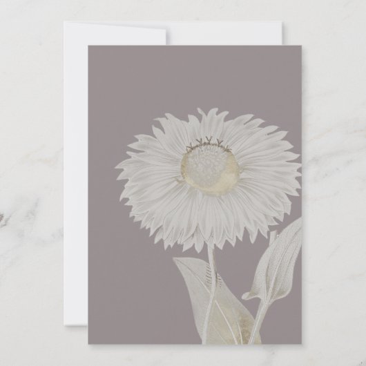 Paarse Daisy Antiek bruiloft bespaart de datum Save The Date (Achterkant)