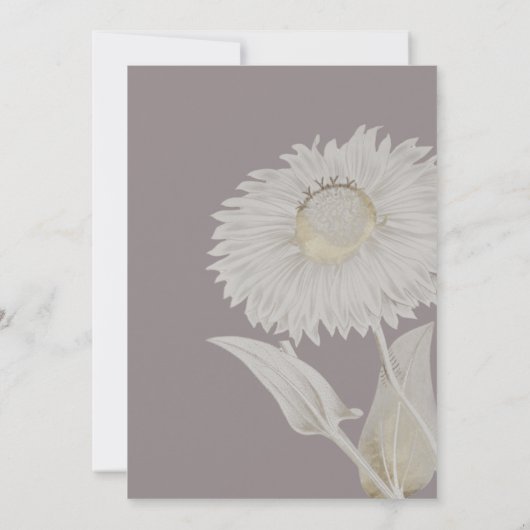 Paarse Daisy Antiek Weddenschap Kaart (Achterkant)