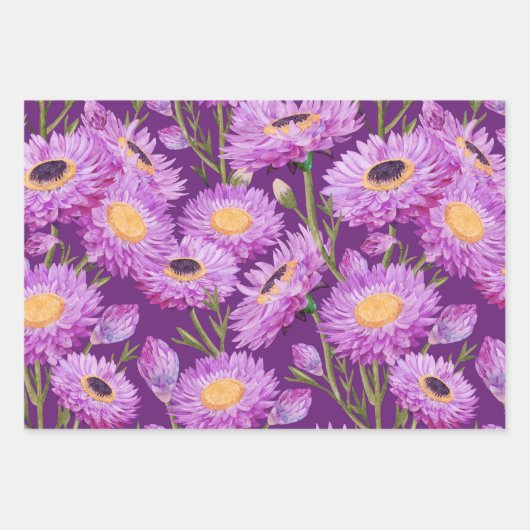 Paarse Daisy Bloemen Inpakpapier Vel (Voorkant)