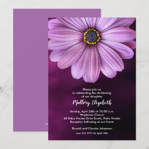 Paarse Daisy Christening / Baptisme Uitnodigingen