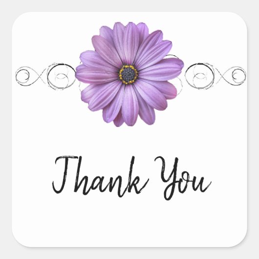 Paarse Daisy Dank u Sticker (Voorkant)