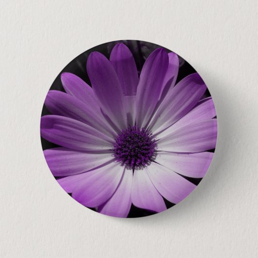 Paarse Daisy Flower Button (Voorkant)