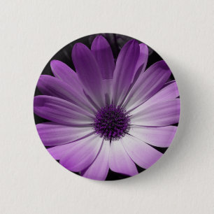 Paarse Daisy Flower Button