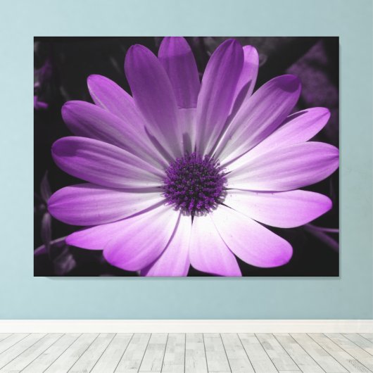 Paarse Daisy Flower Canvas Print (Insitu (Houten vloer))