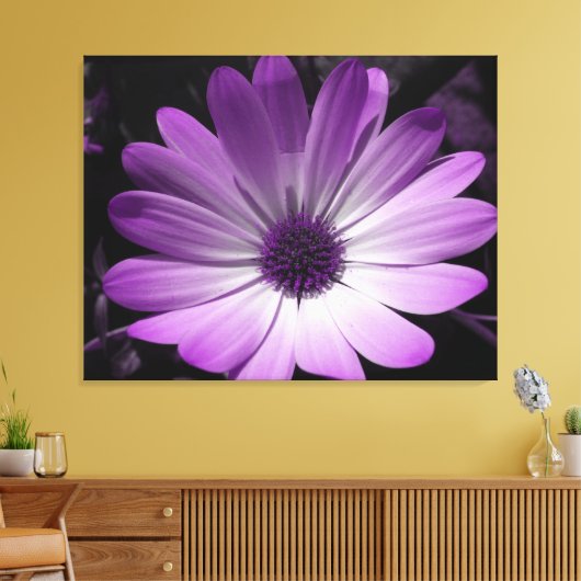 Paarse Daisy Flower Canvas Print (Insitu (Woonkamer))