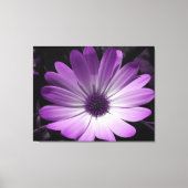 Paarse Daisy Flower Canvas Print (Voorkant)