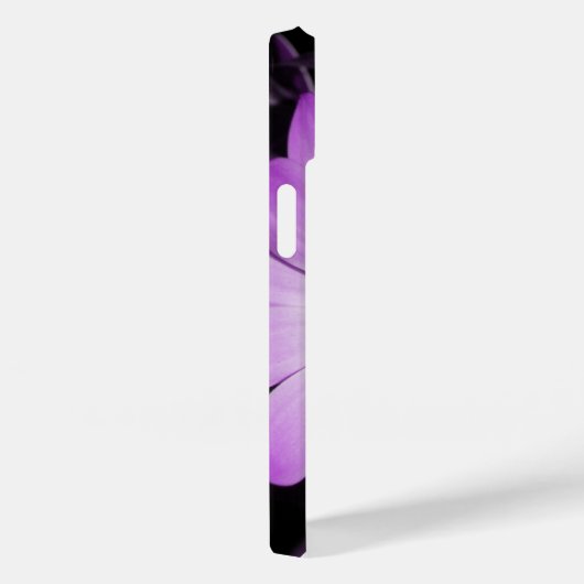 Paarse Daisy Flower Case-Mate iPhone Case (Achterkant / Rechts)