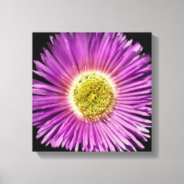Paarse Daisy Flower Closee Boho Cheerful Floral Canvas Afdruk