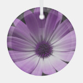 Paarse Daisy Flower Glas Ornament (Voorkant)