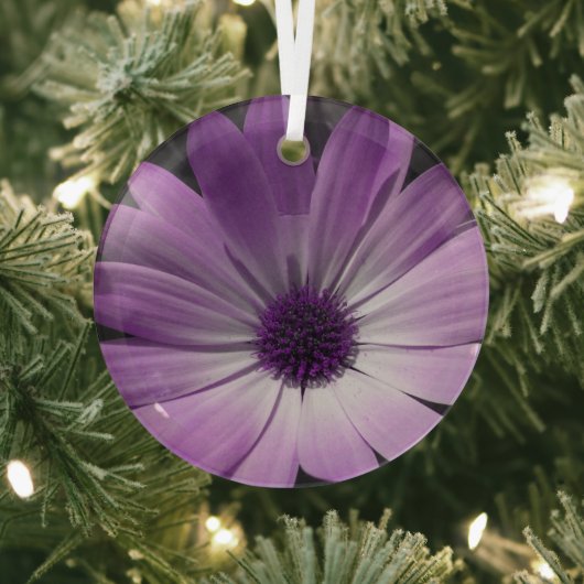 Paarse Daisy Flower Glas Ornament (Insitu)