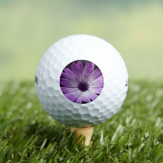 Paarse Daisy Flower Golf Ball Golfballen (Insitu Shirt)