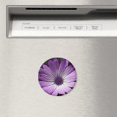 Paarse Daisy Flower Magnet (Insitu (Vaatwasser))