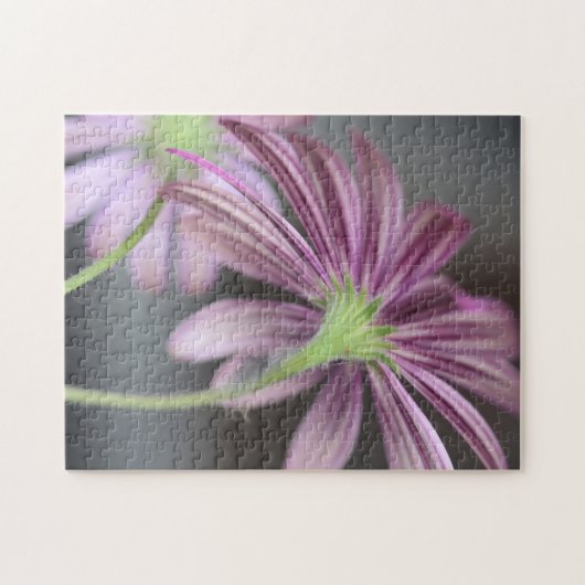 Paarse Daisy Flower - Natuur Fotografie Legpuzzel (Horizontaal)