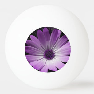 Paarse Daisy Flower Ping Ball