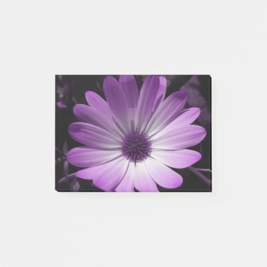 Paarse Daisy Flower Post merkt Pad op Post-it® Notes (Voorkant)