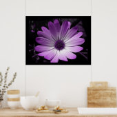 Paarse Daisy Flower Print (Keuken)