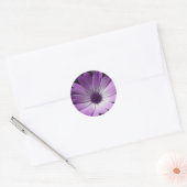 Paarse Daisy Flower Sticker (Envelop)