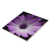Paarse Daisy Flower Tile Tegeltje (Zijkant)
