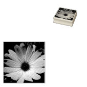 Paarse Daisy Flower Wood Art Stempel (Gestempeld)