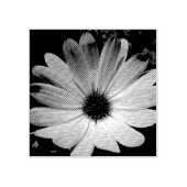 Paarse Daisy Flower Wood Art Stempel (Afrduk)